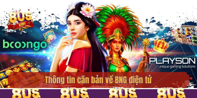 Thông tin căn bản về BNG điện tử
